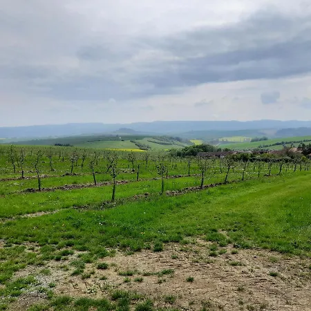 Rekreacni Domek U Kromerize Litencice
